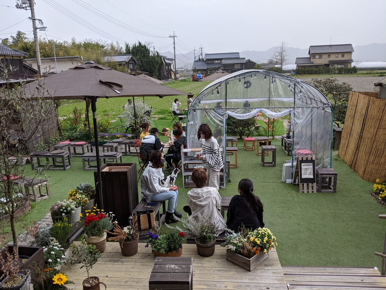 奥山いちご農園の客席