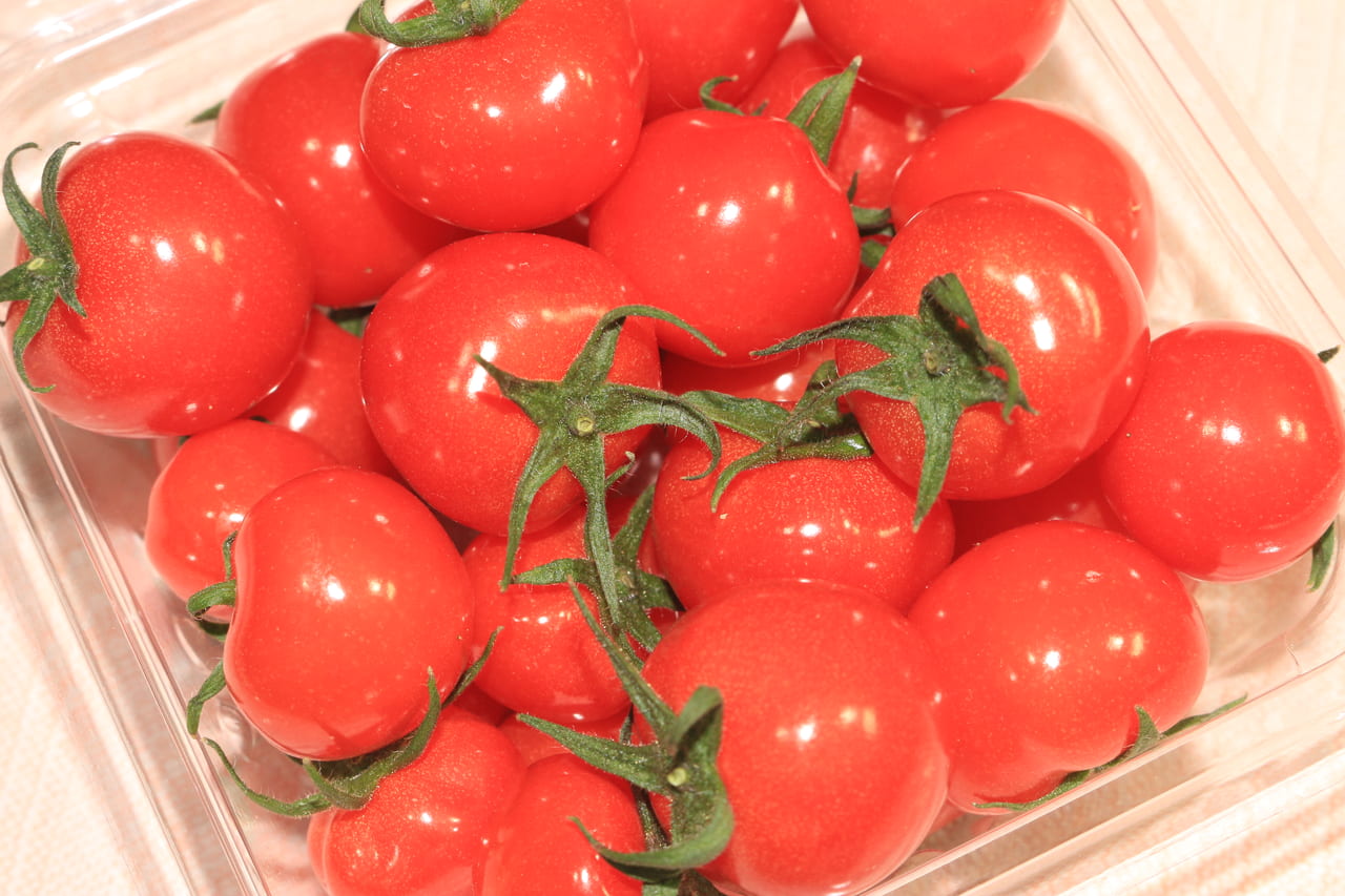 野菜ソムリエ 禁断のトマト