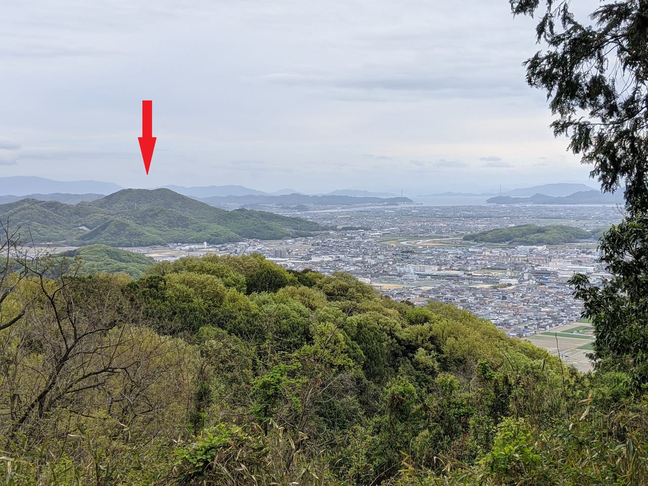 龍ノ口山から見た芥子山