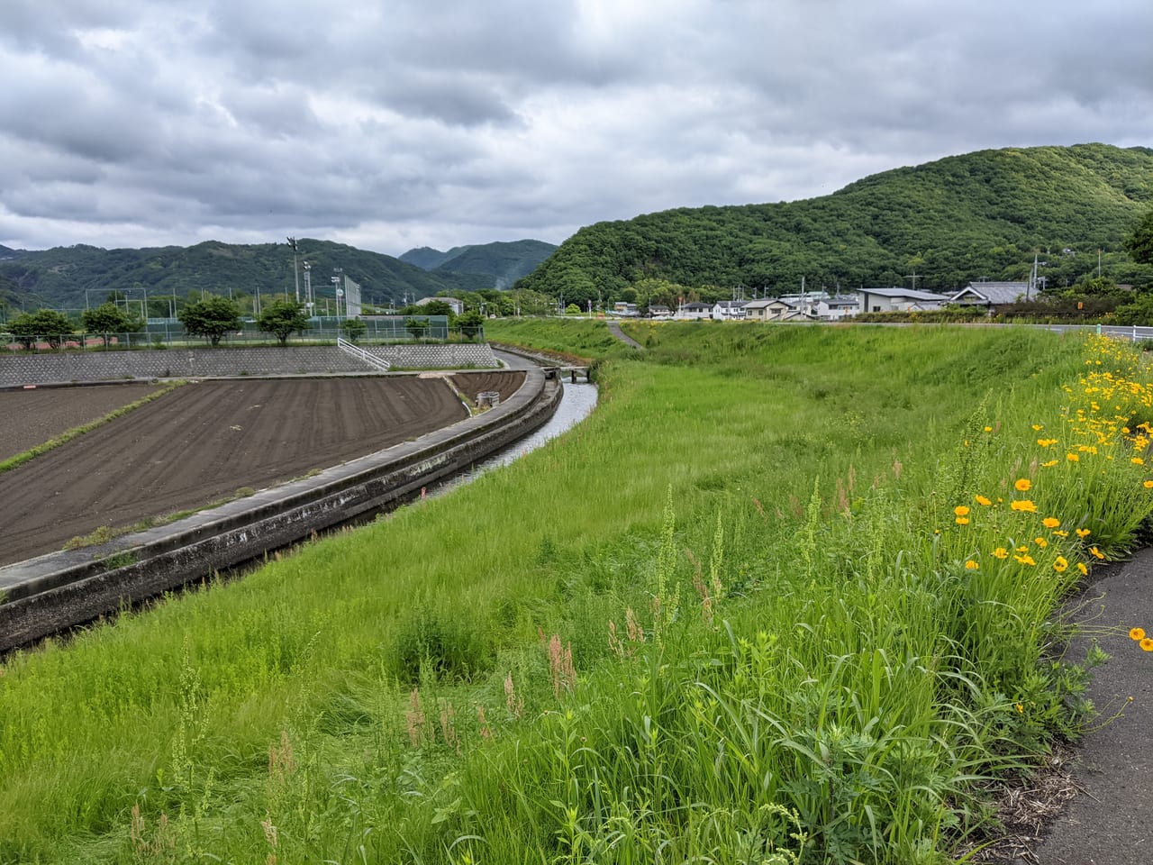 ホタル観賞ポイント　就実グラウンド