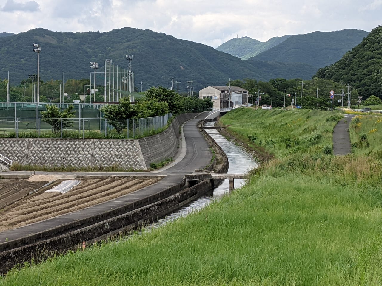 ホタルがいた場所