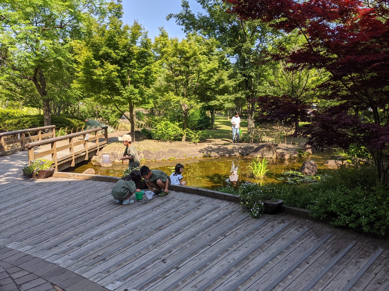 西大寺緑花公園で魚取り