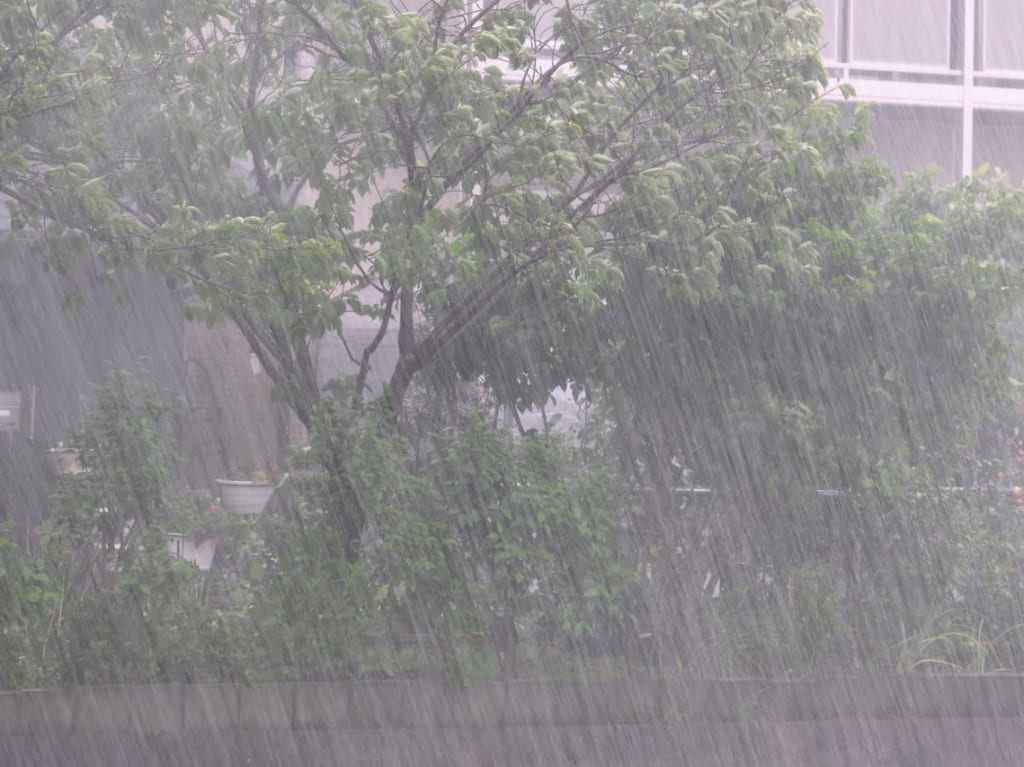 大雨のイメージ画像