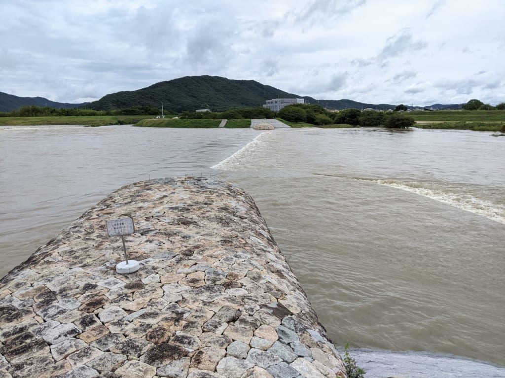 旭川から越水する「一の荒手」