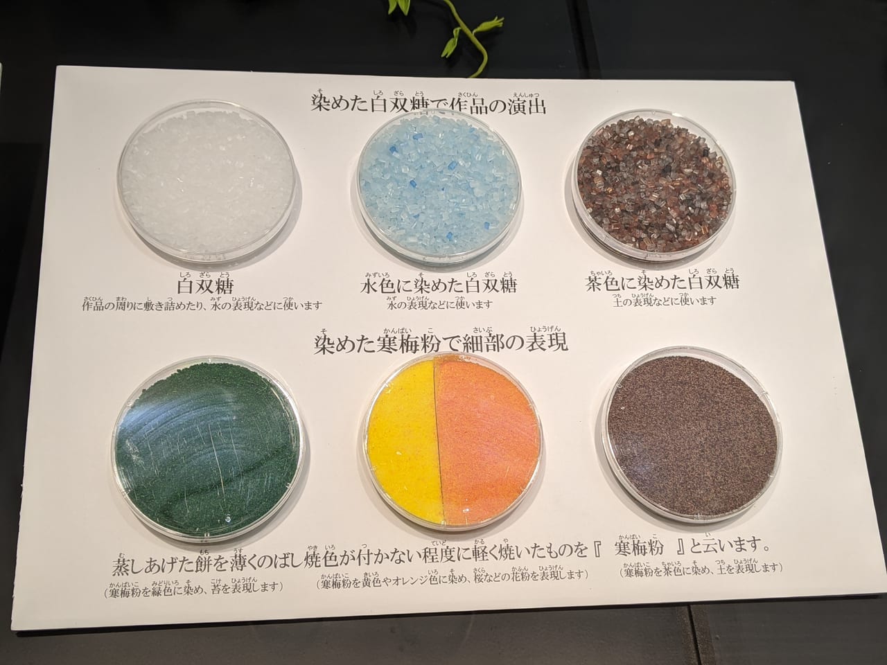 お菓子でできた春夏秋冬の生き物展の様子