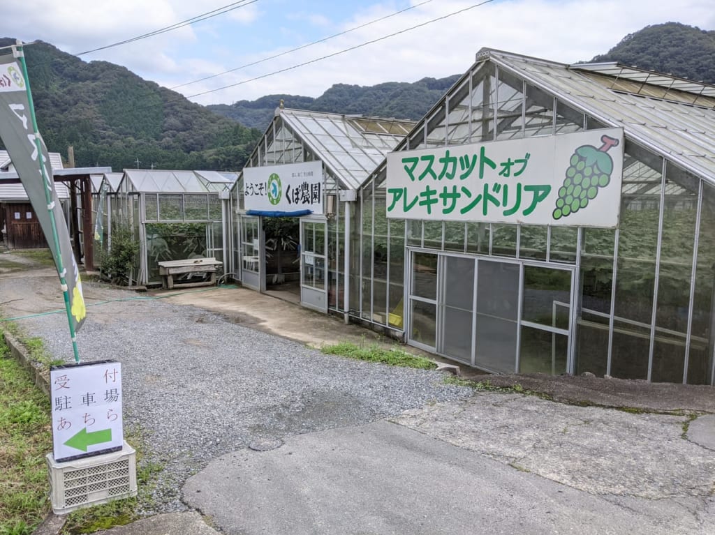 くぼ農園マスカット狩りのハウス