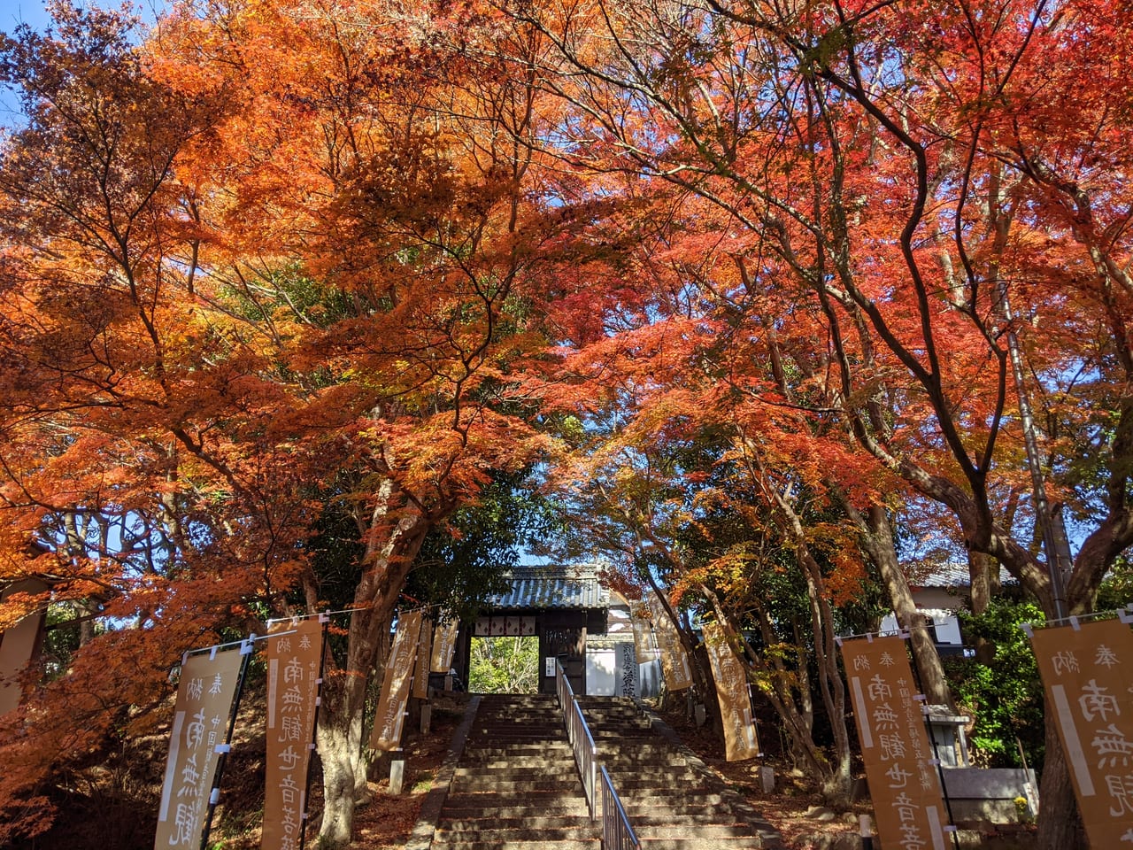 法界院の参道