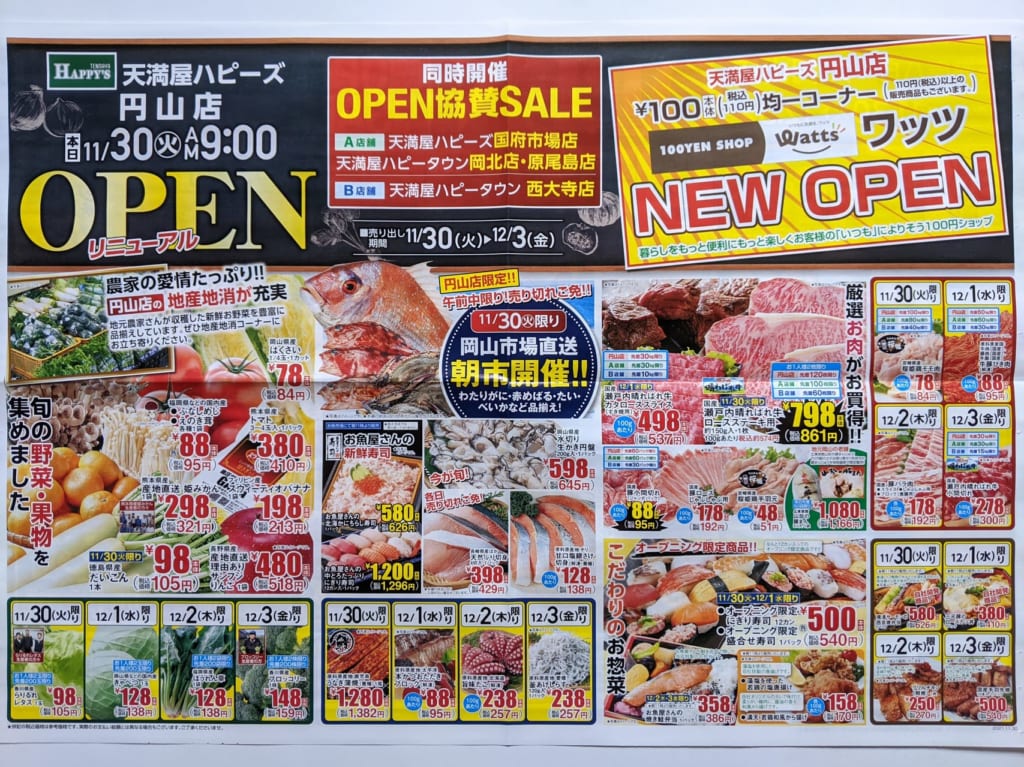 天満屋ハピーズ円山店のチラシ