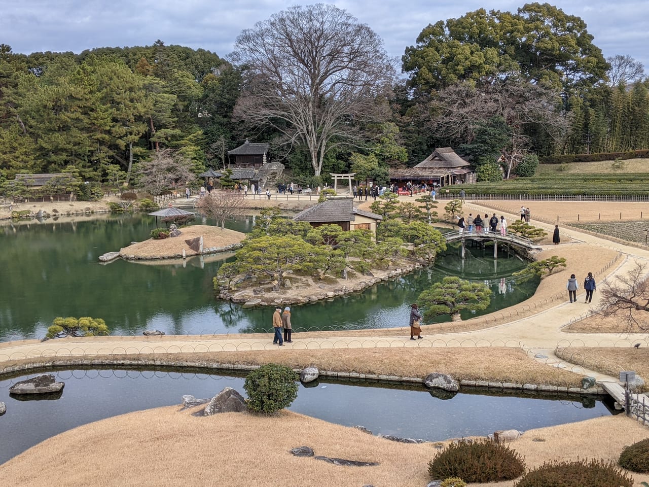 後楽園唯心山から沢の池を望む