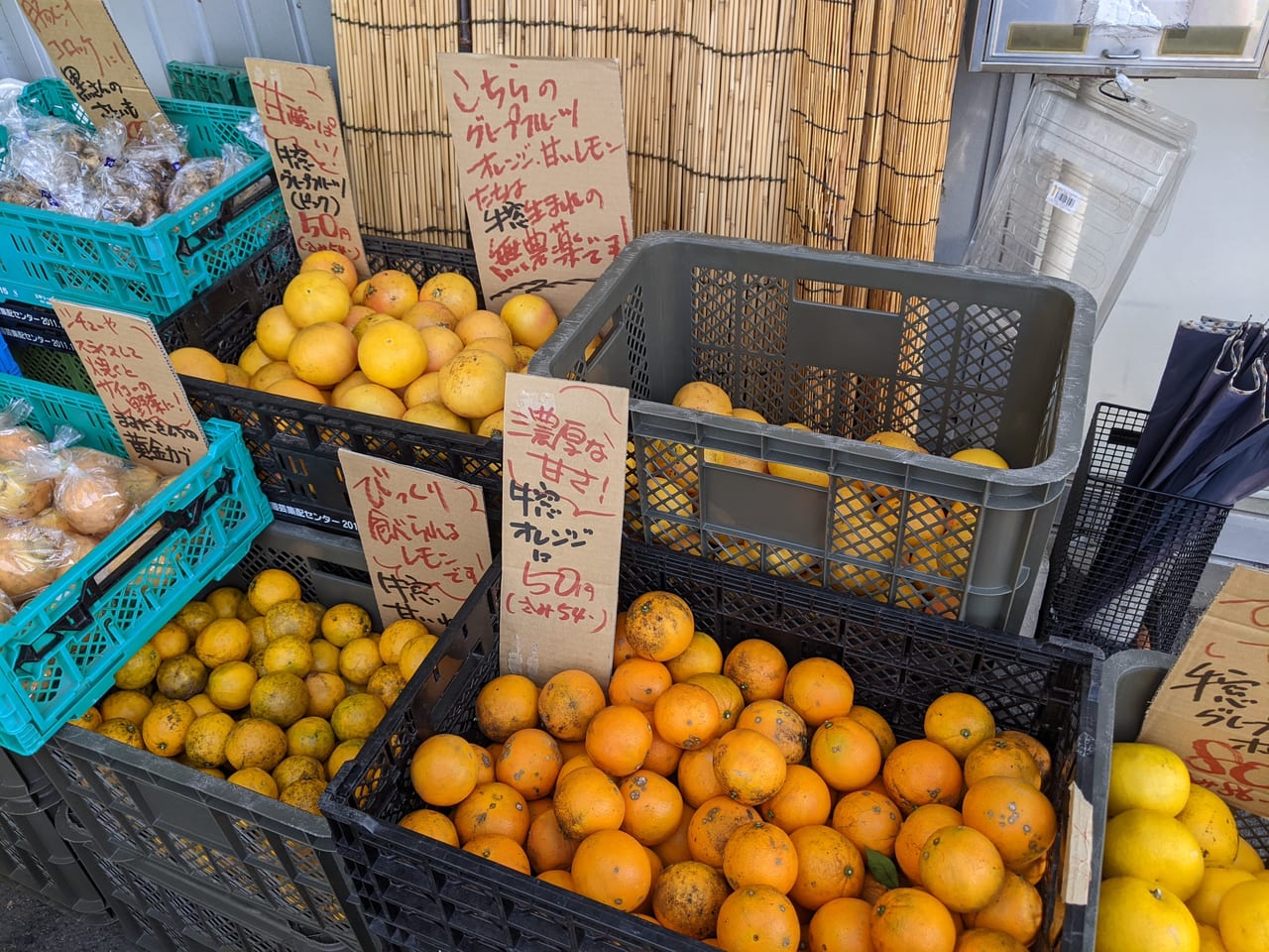 「Ｒｅ・ベジル」の柑橘