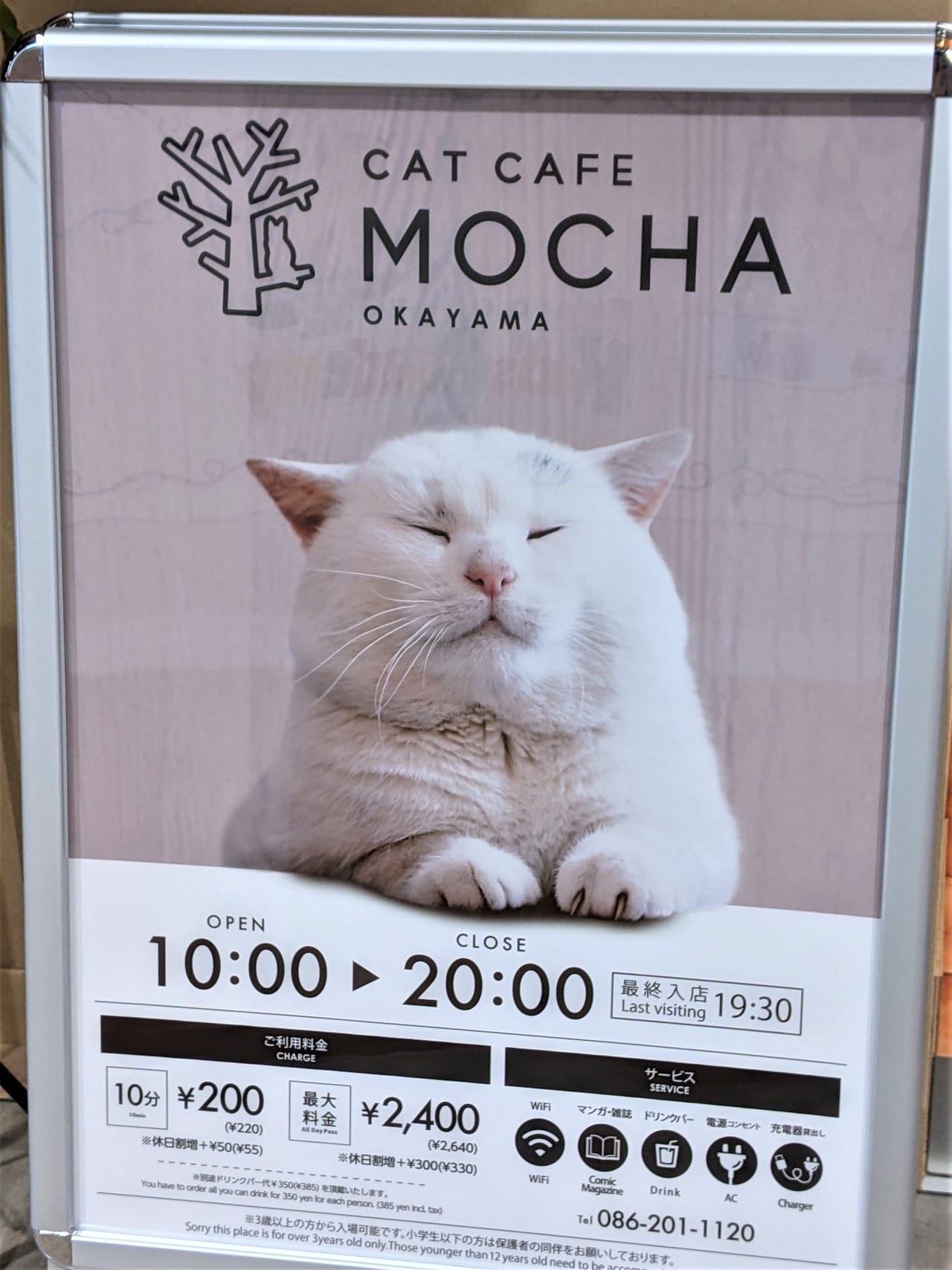 猫カフェ MOCHA イオンモール岡山店