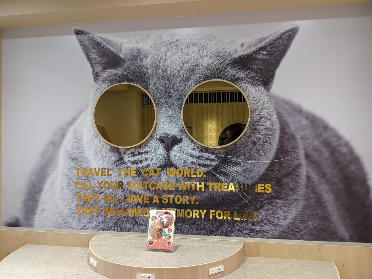 岡山市北区 岡山初出店の猫カフェmocha モカ イオンモール岡山の5階に2月17日オープンしました 号外net 岡山市