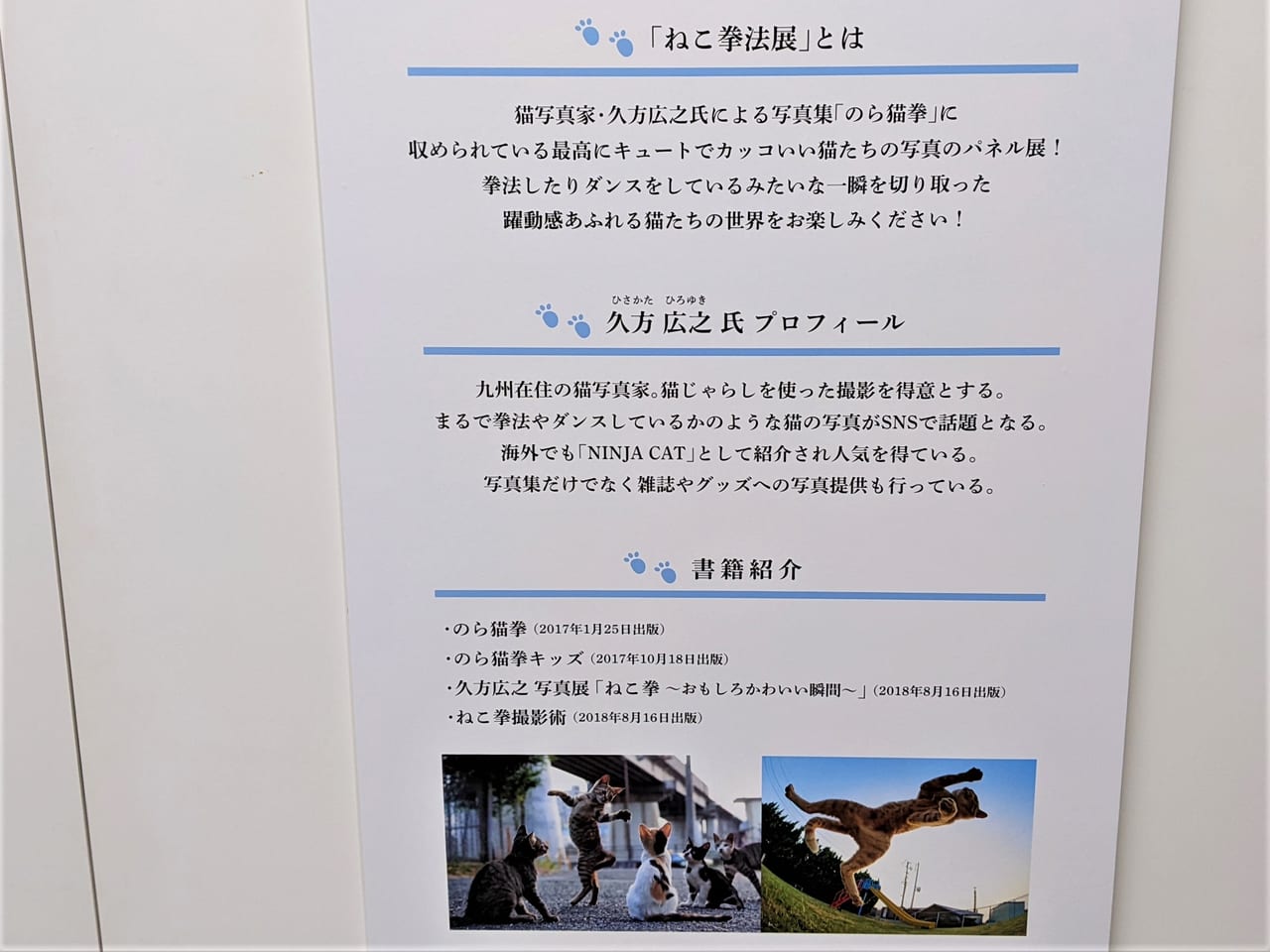 ねこ拳法パネル展_クレド岡山