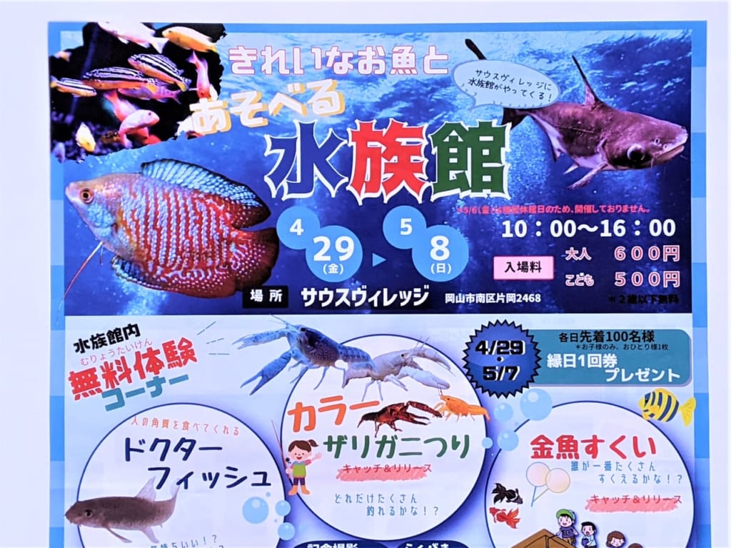 きれいなお魚とあそべる水族館の案内