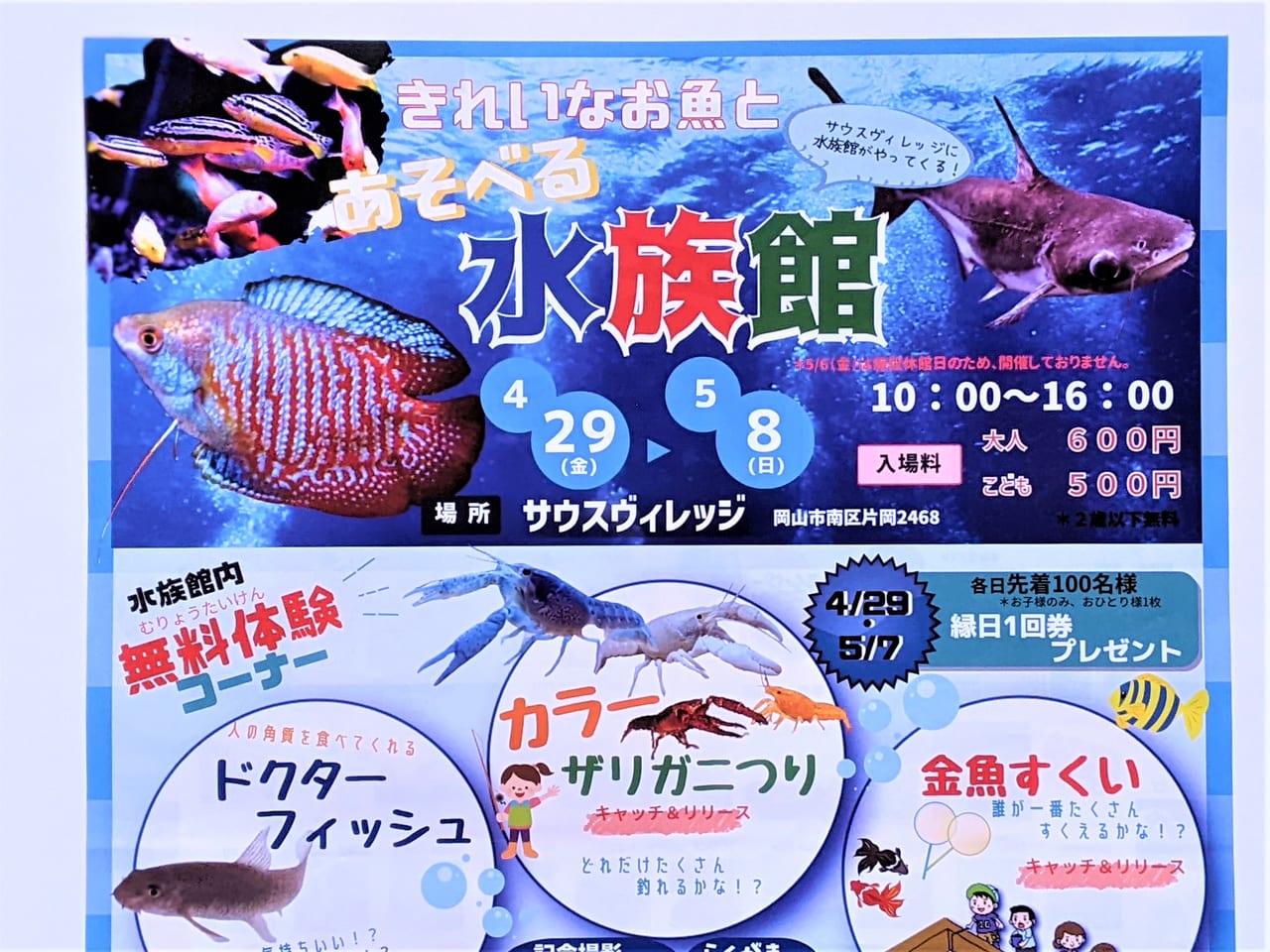 岡山市南区 ｇｗ中のサウスヴィレッジが面白い きれいなお魚とあそべる水族館 と 食のフェスティバル がなんと同時開催に 号外net 岡山市