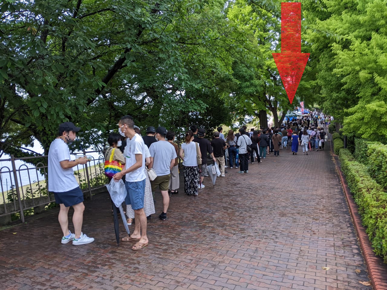 京橋朝市（2022年7月）