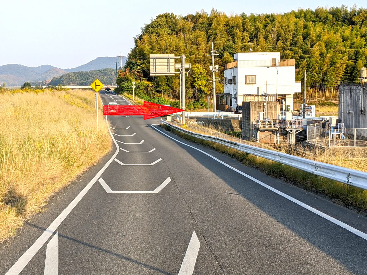 沢田の柿（2022）