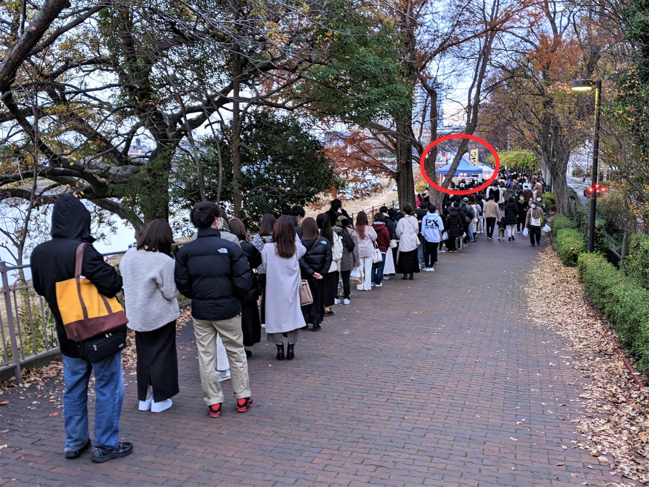 備前岡山京橋朝市（2022年12月4日）