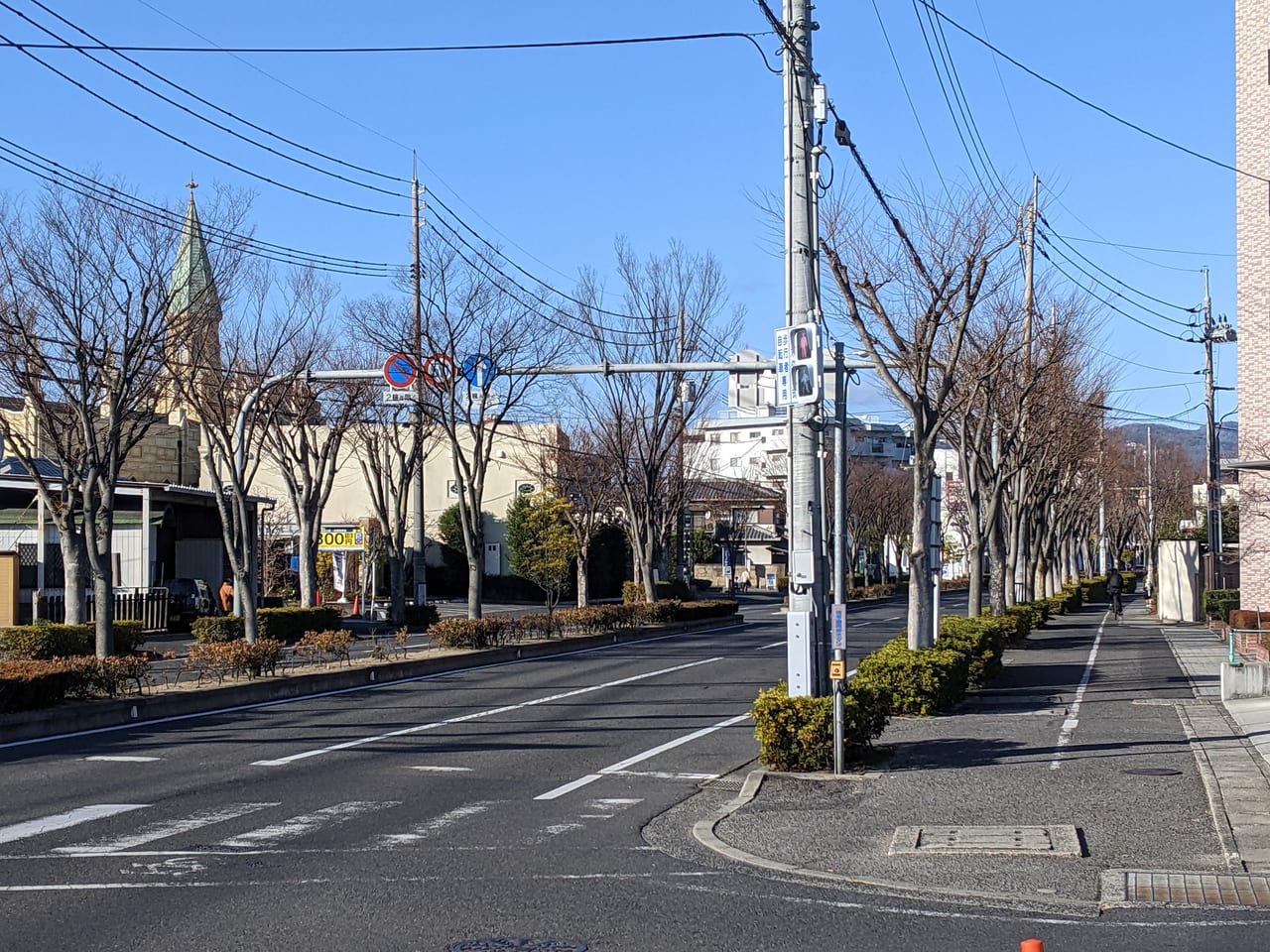 けやき通り（岡山市中区）