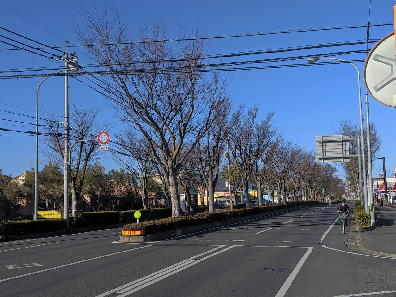 けやき通り（岡山市中区）