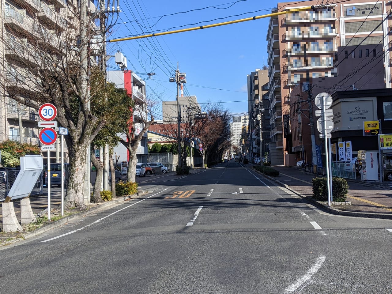 けやき通り（岡山市北区）