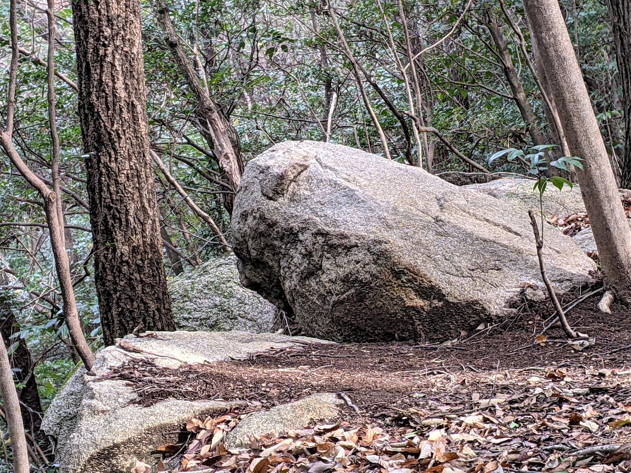 操山の「犬石」