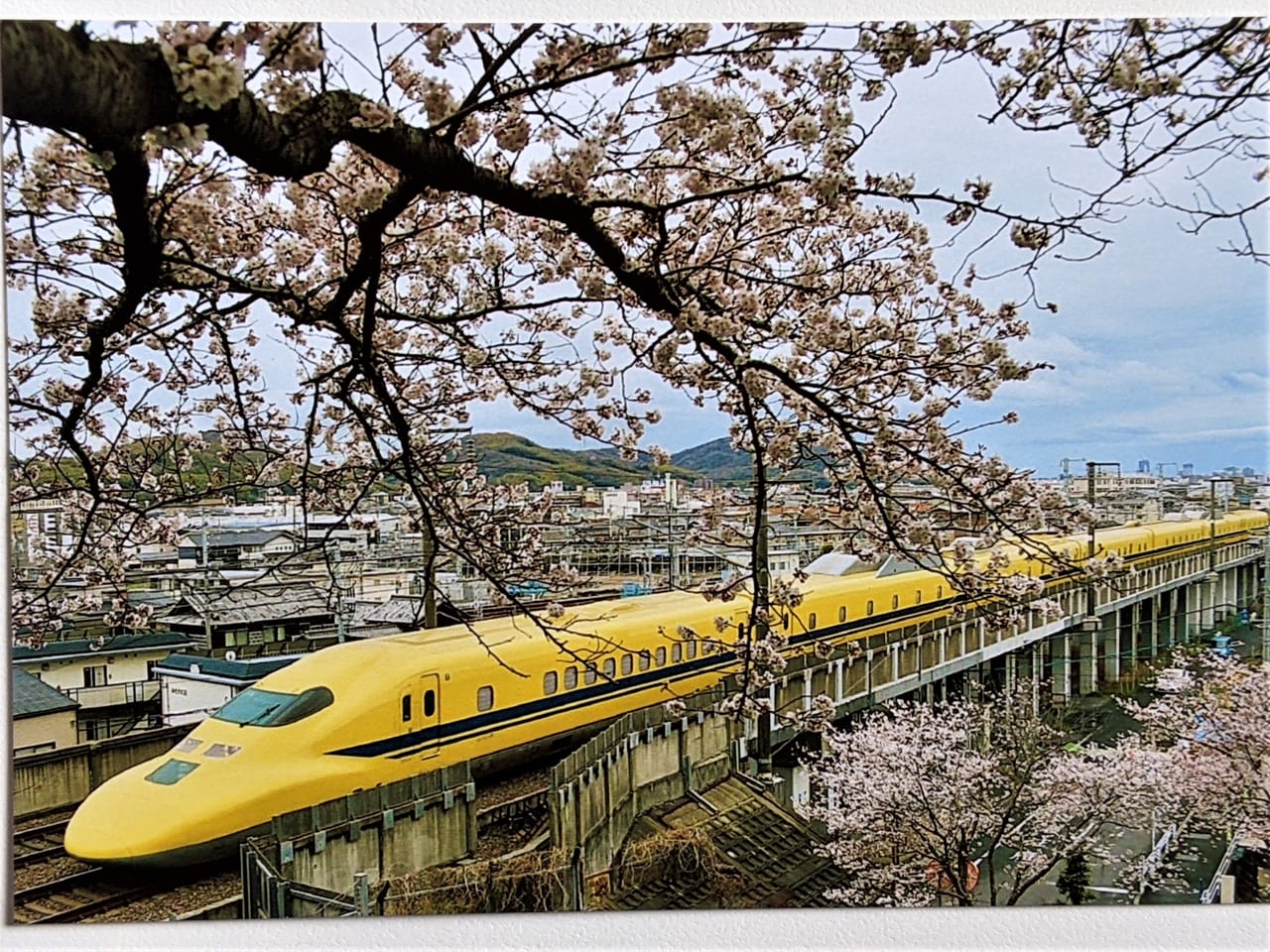 「宍甘遊園地」で撮影したドクターイエロー