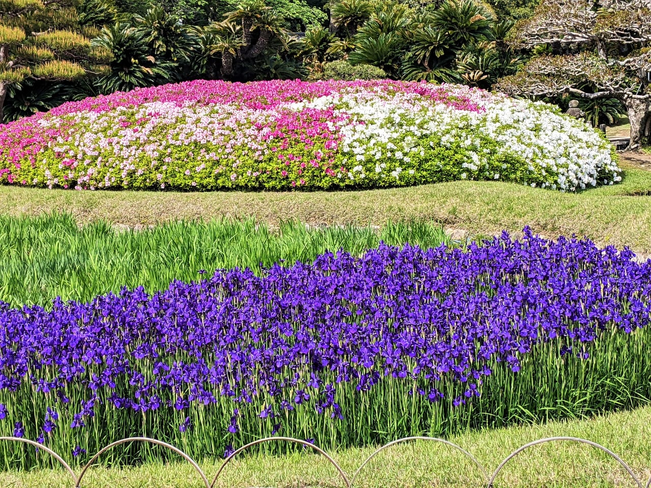 日中の岡山後楽園の様子（2023年4月）