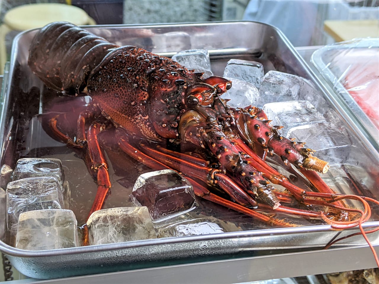 山翔水産 岡山駅前BBQ あきちゃん家