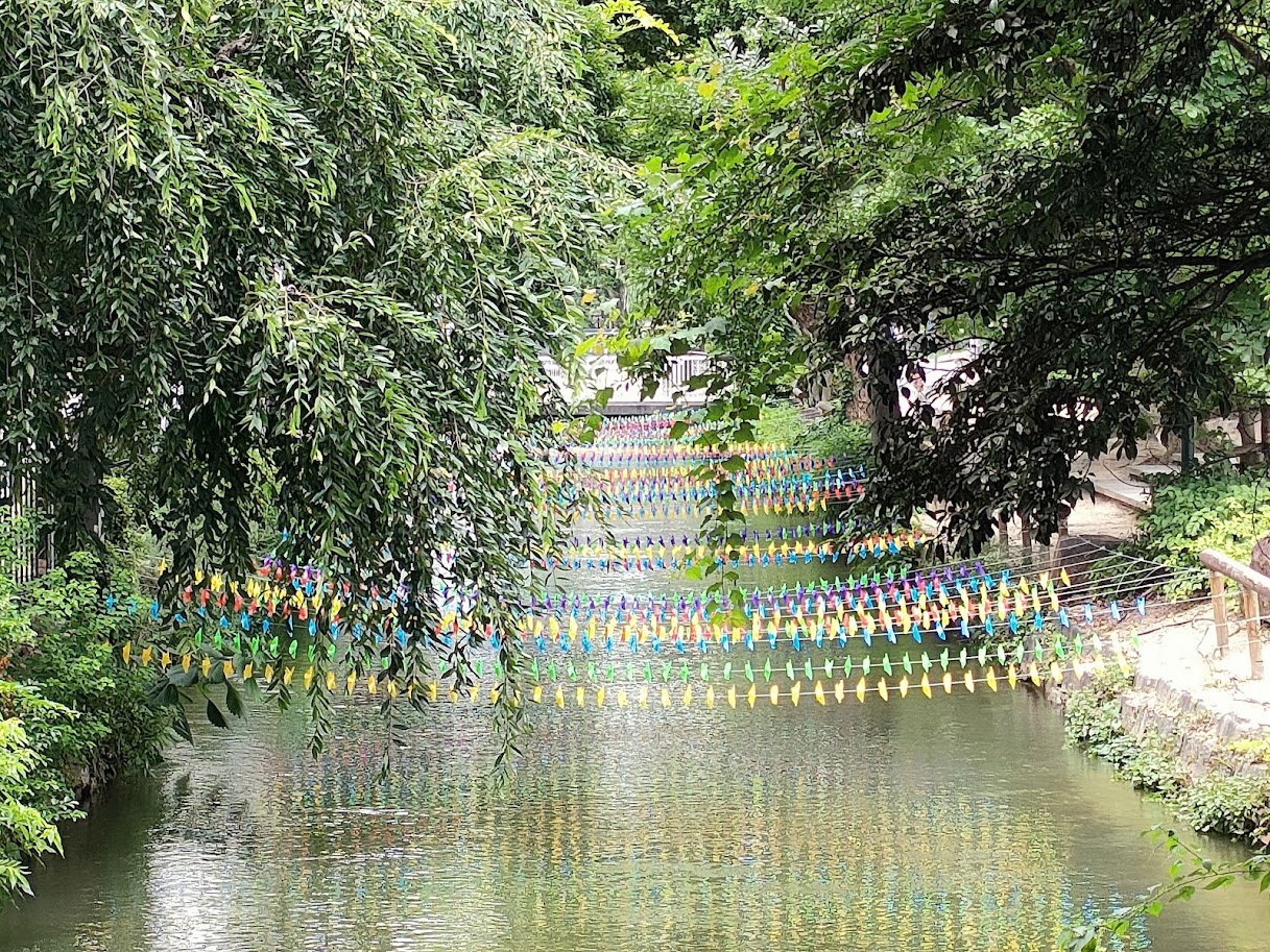 西川夏あかり