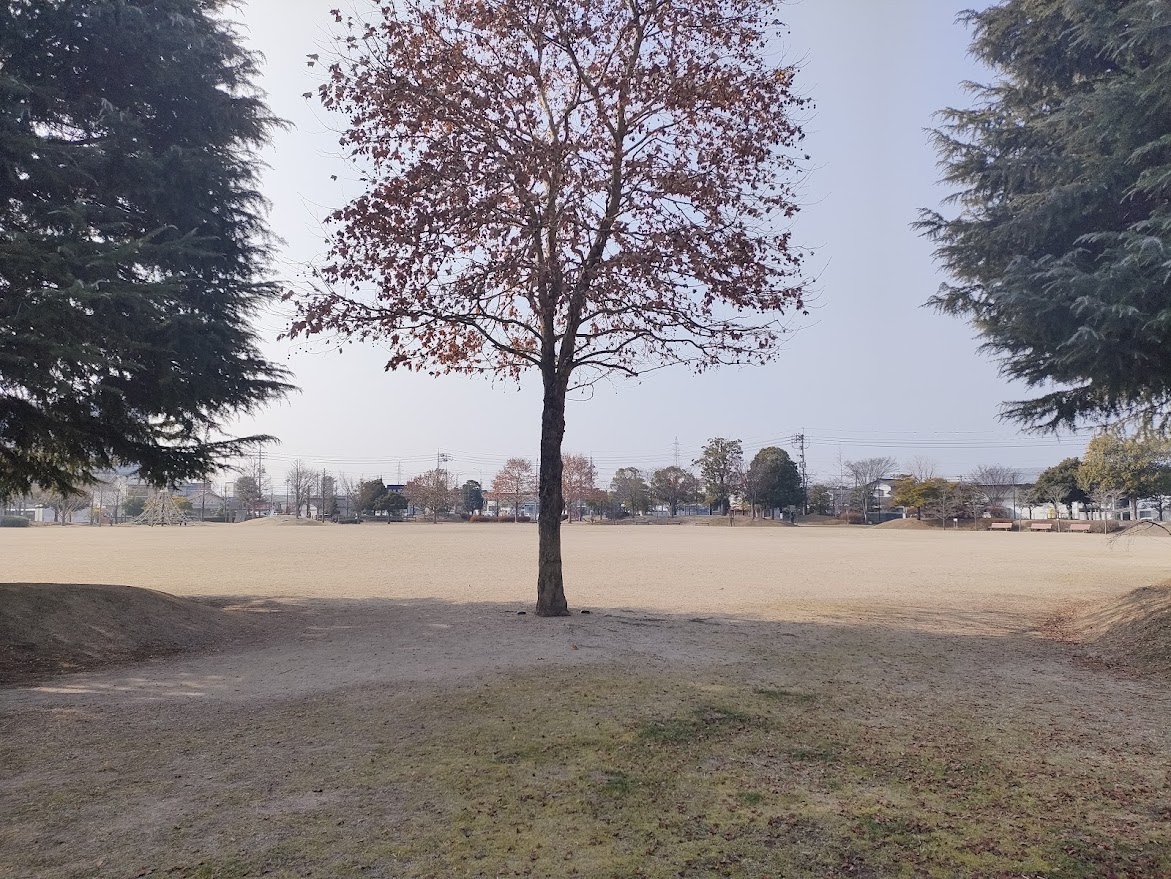 西大寺緑花公園（多目的広場）