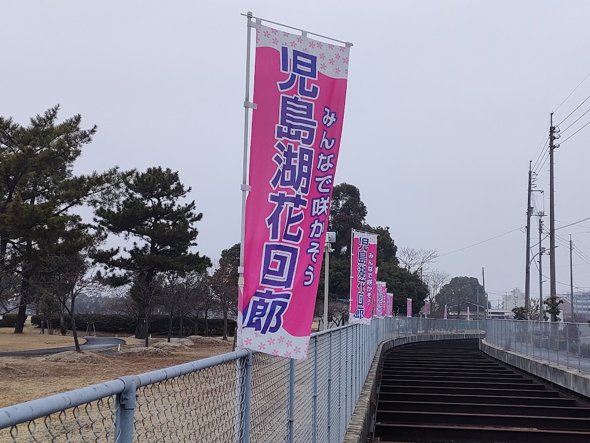 2025河津桜花見会