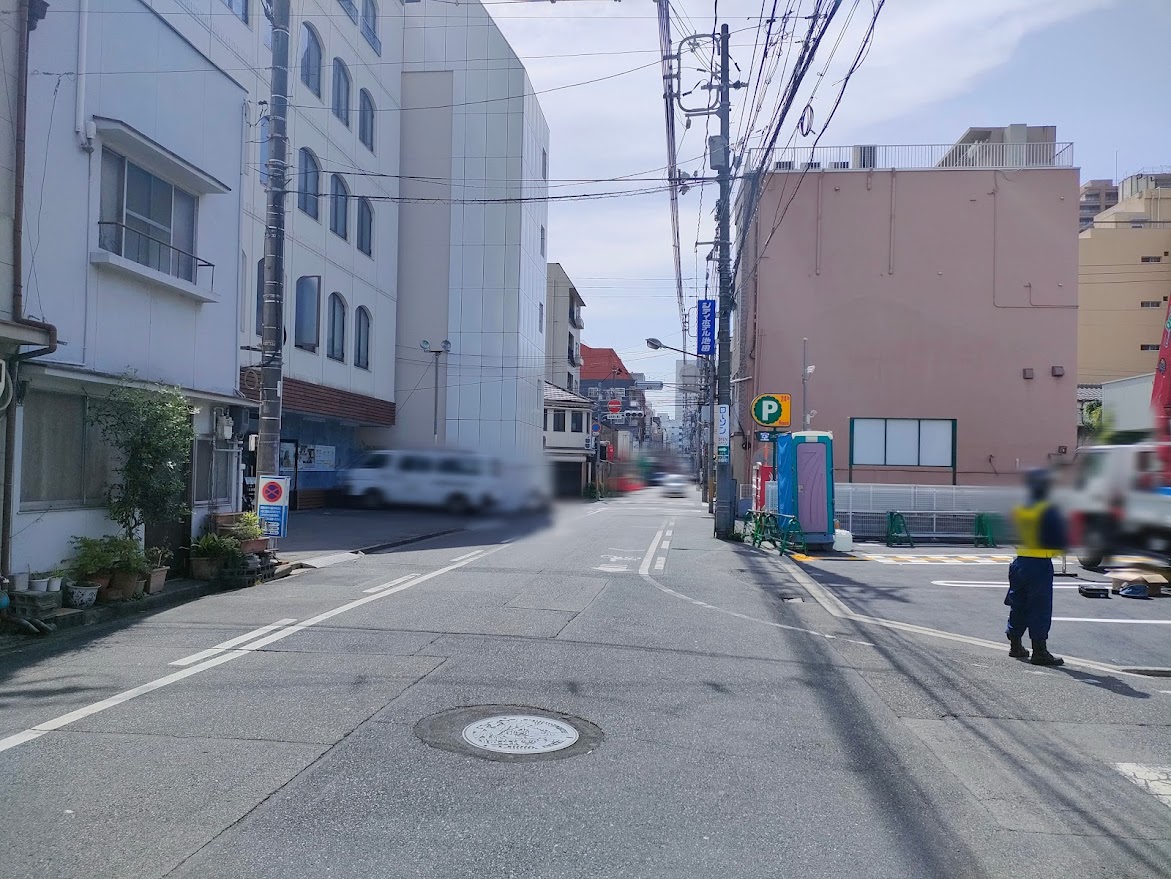 手羽にまっすぐ、味に一途『手羽いちず。』