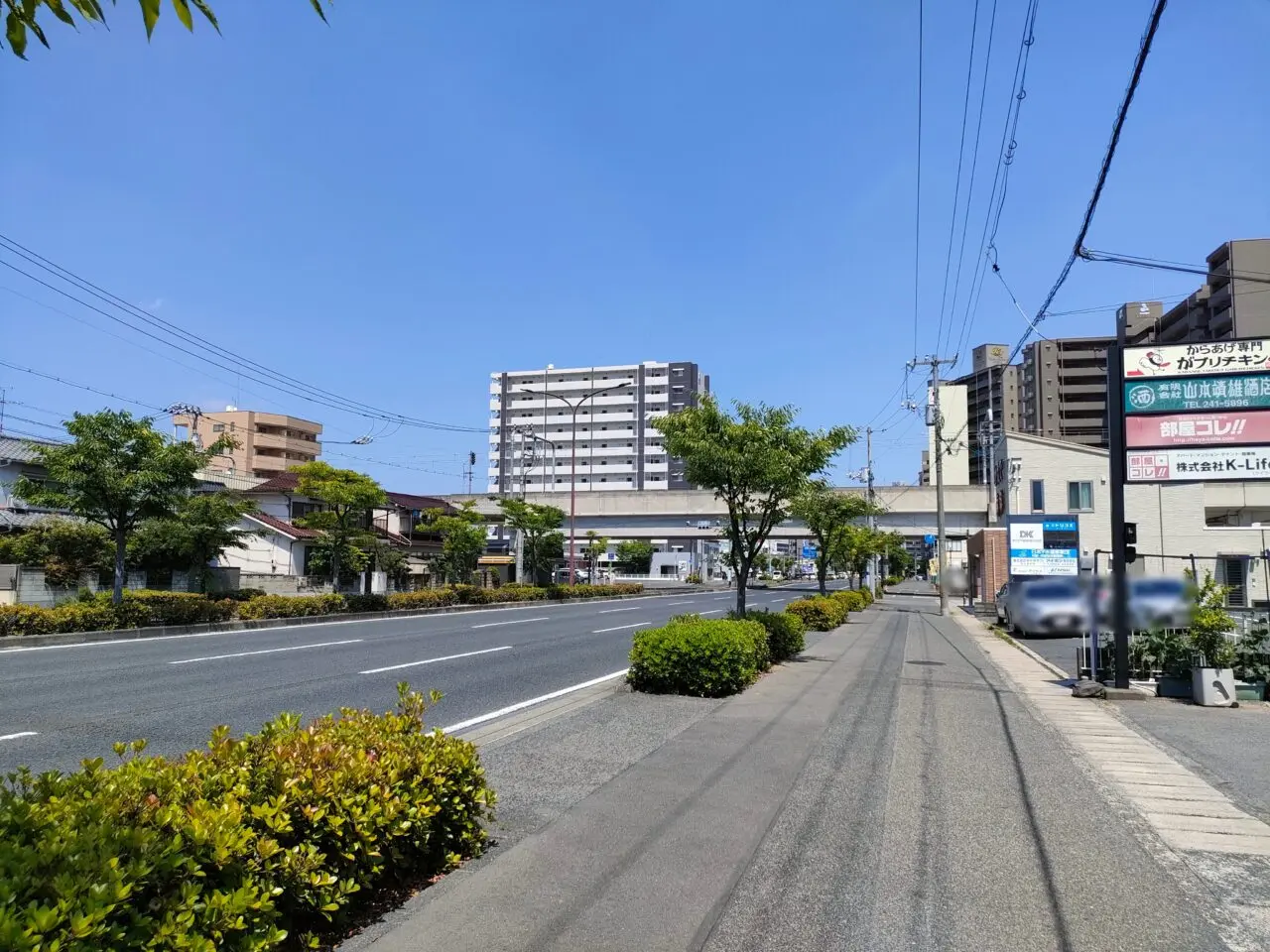 がブリチキン。 岡山大元店