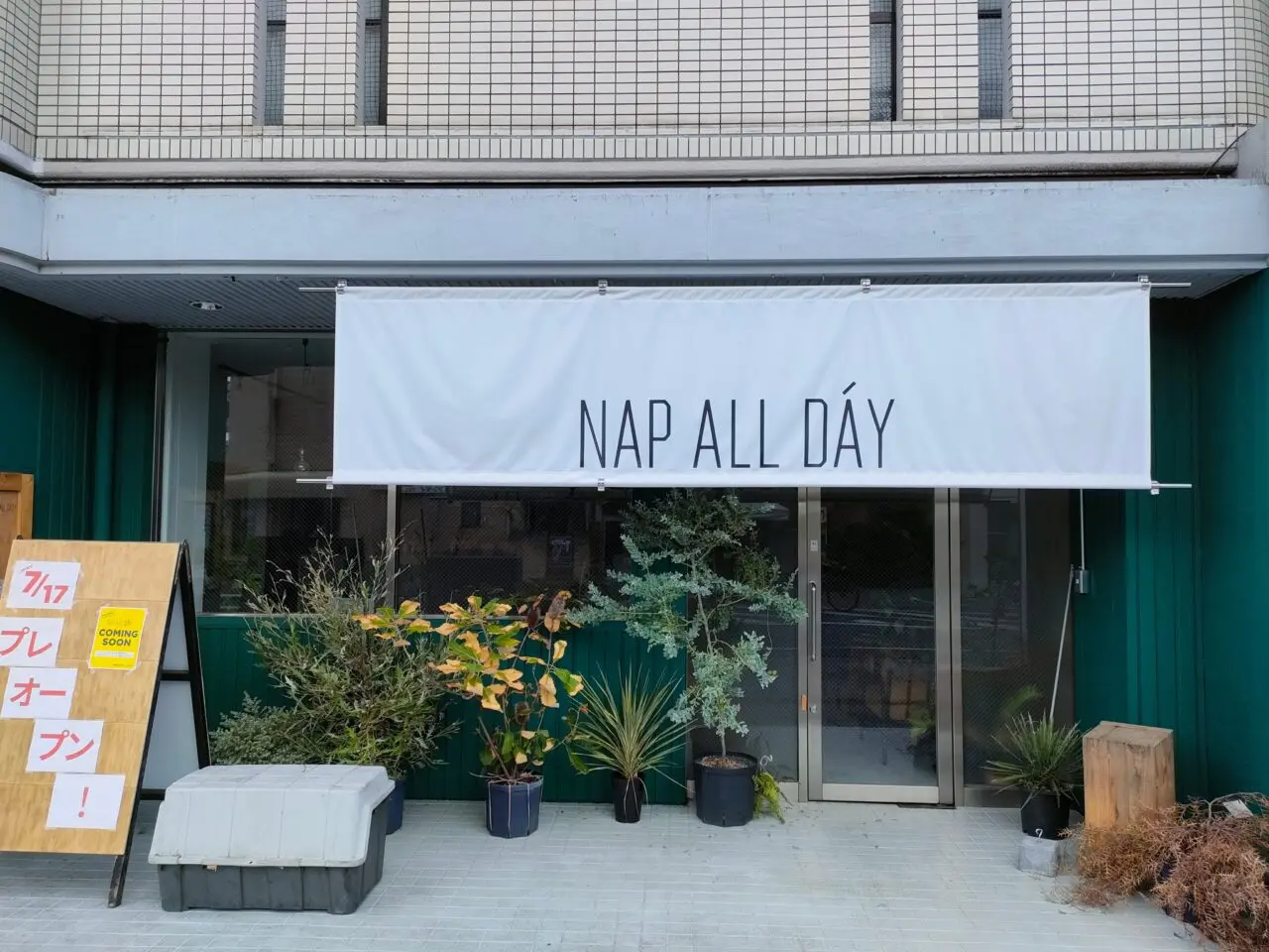 NAP ALL DAY