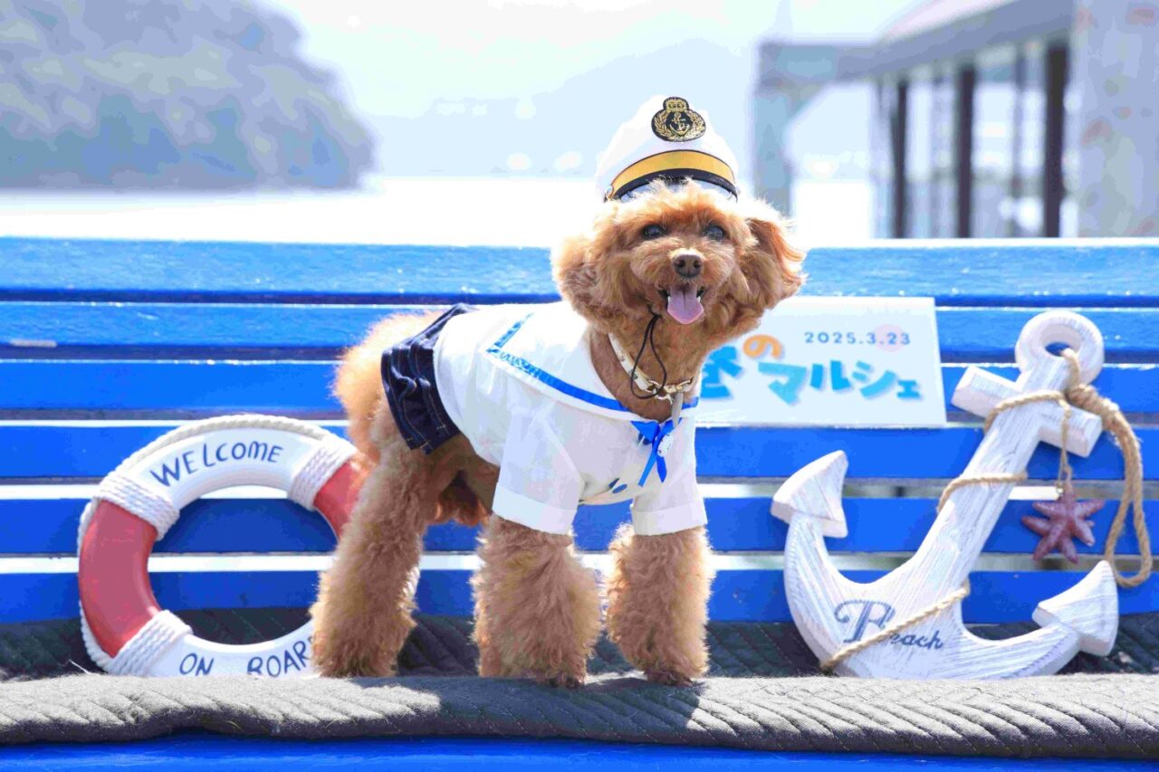港のマルシェ