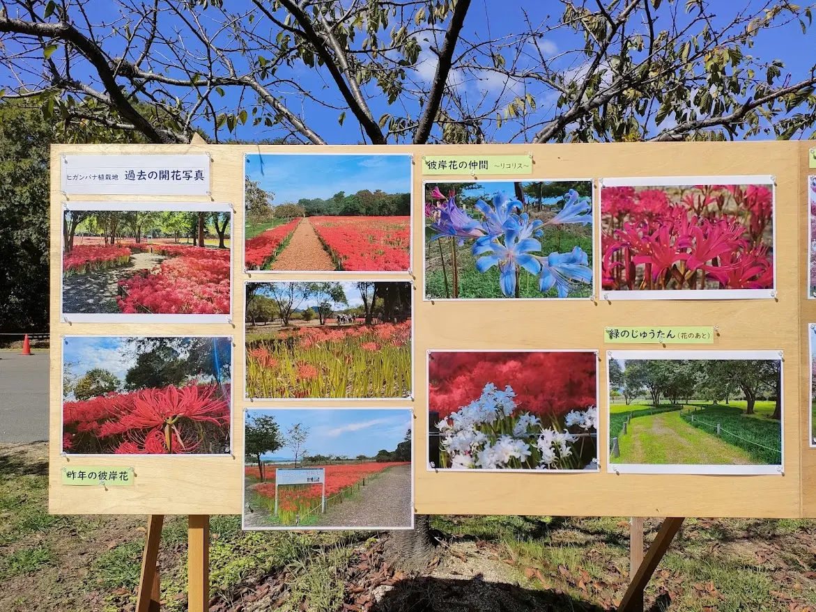児島湖花回廊秋季見学会
