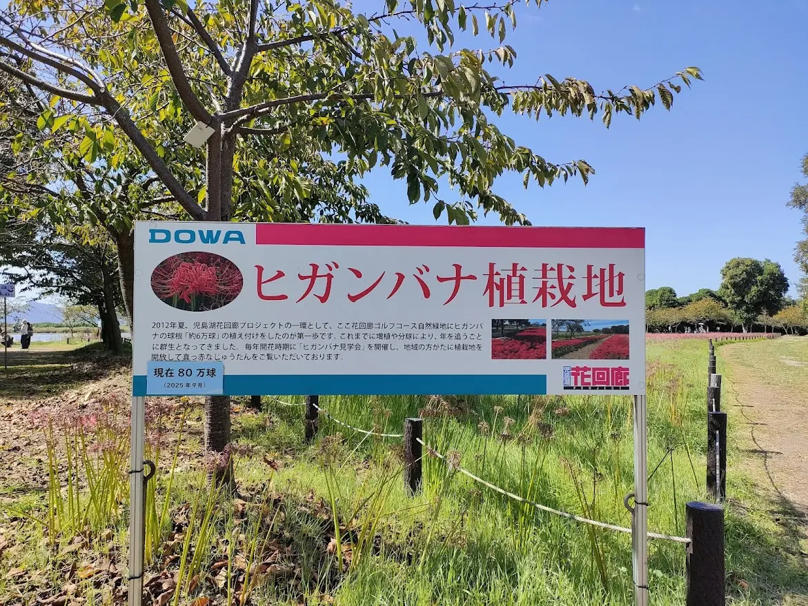 児島湖花回廊秋季見学会