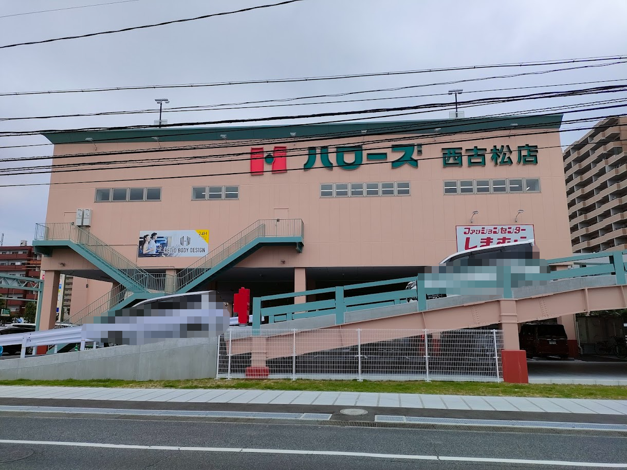 くすりのレデイ 西古松店
