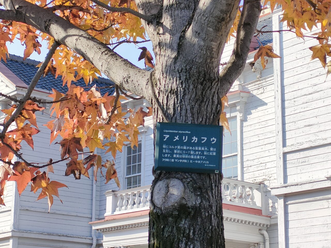 岡山県総合グラウンド