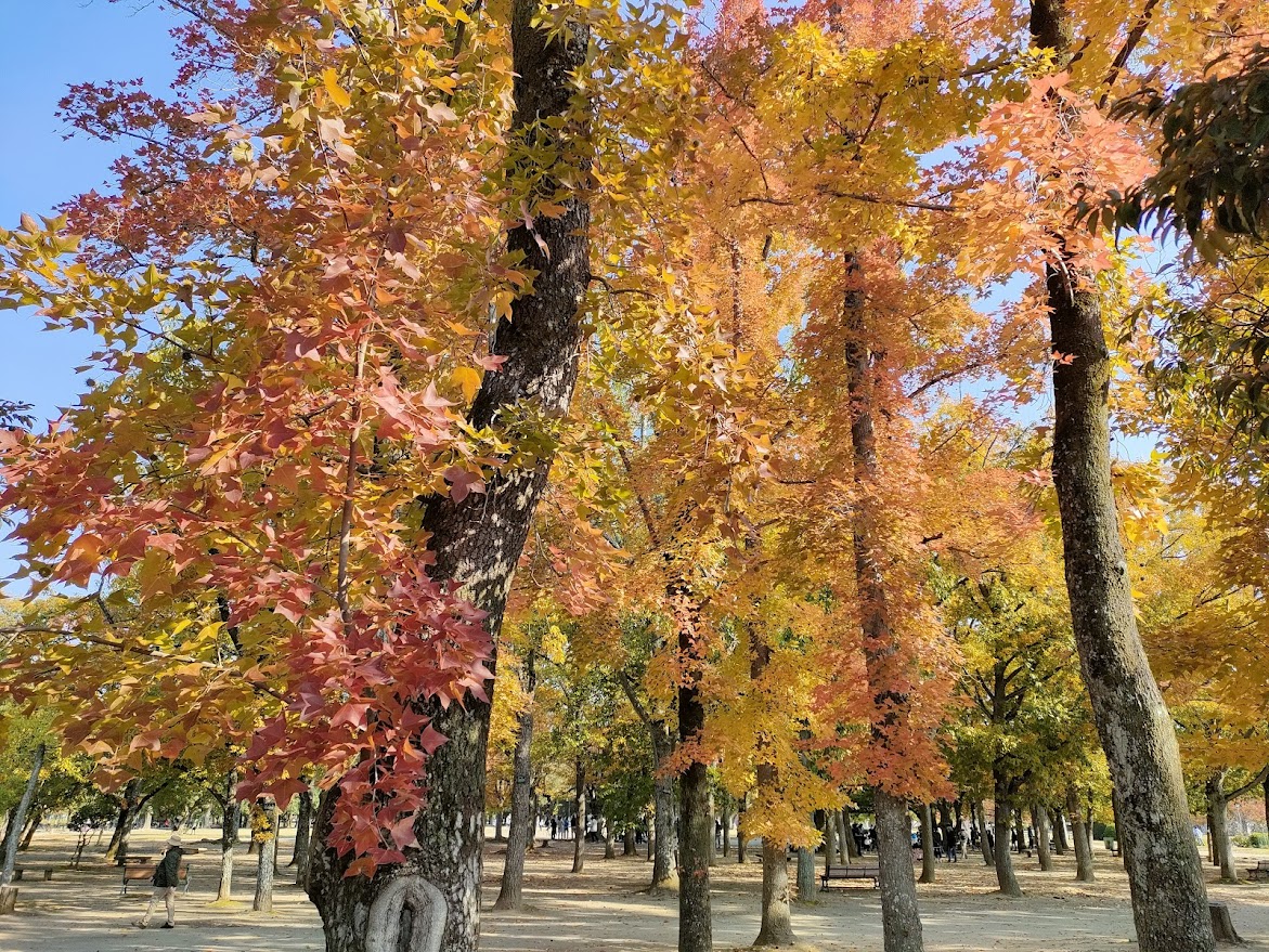 岡山県総合グラウンド