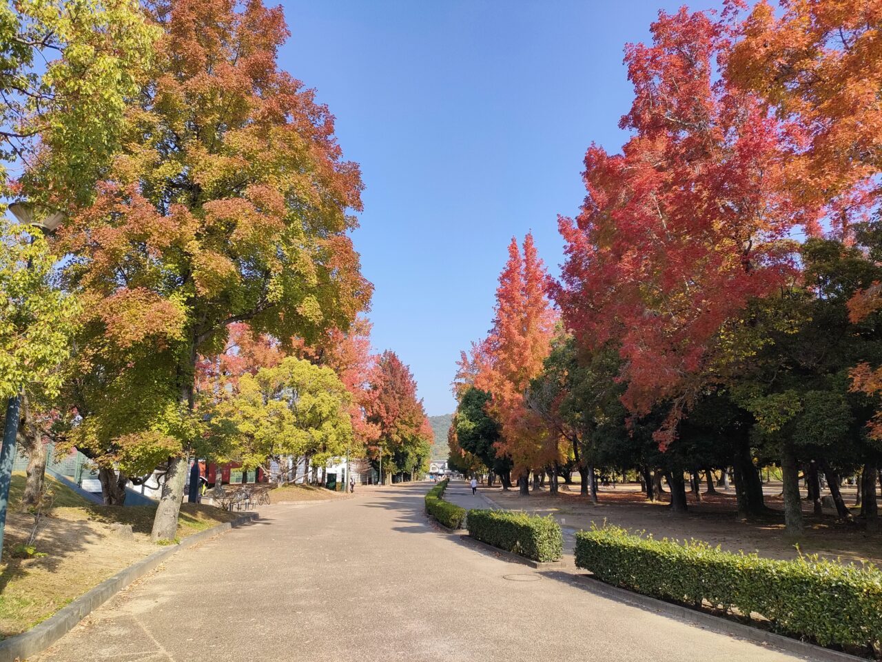 岡山県総合グラウンド