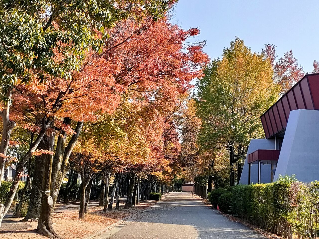 岡山県総合グラウンド