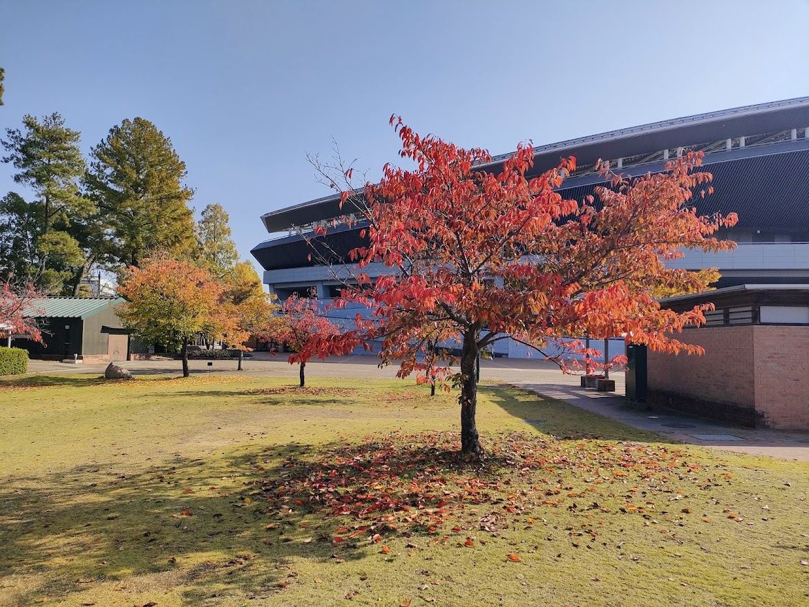 岡山県総合グラウンド