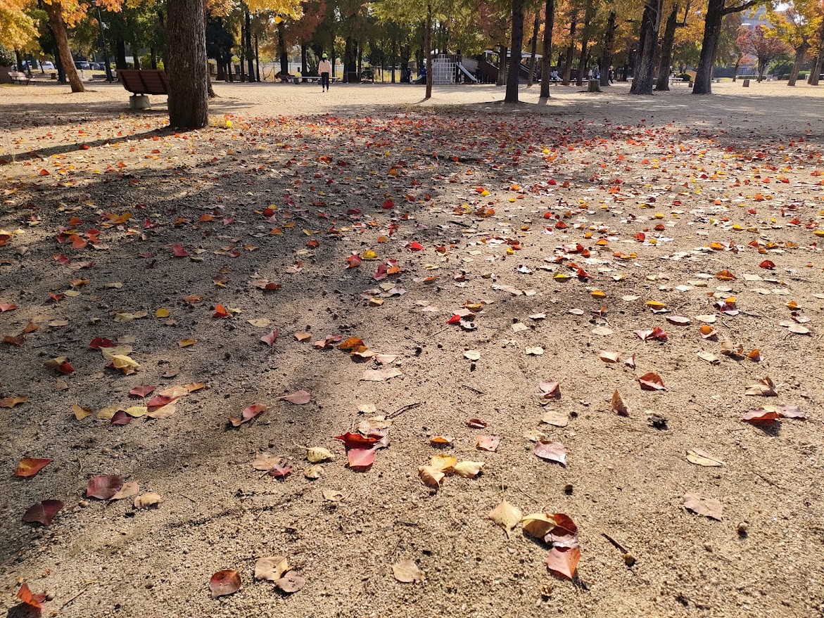 岡山県総合グラウンド