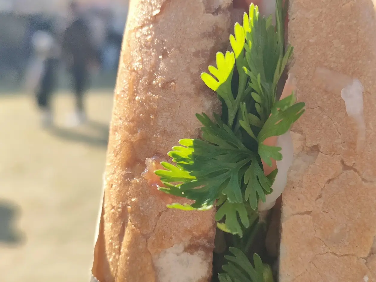 ベトナムフェスティバル岡山2025