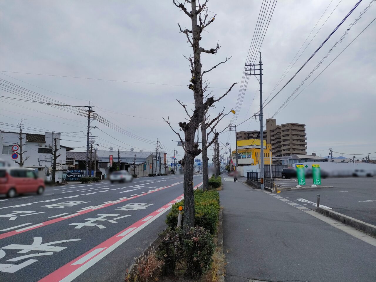 ザグザグ豊成店