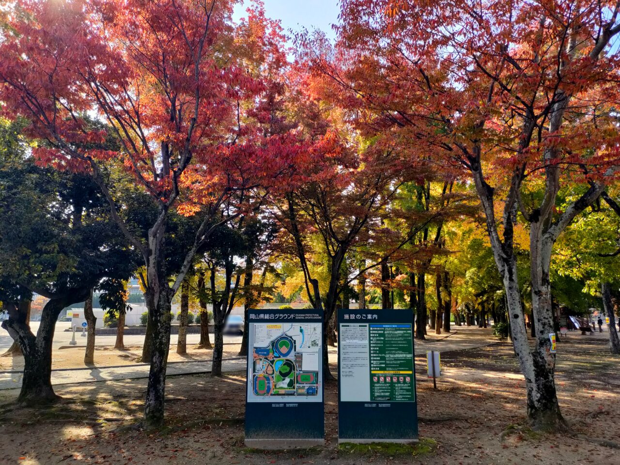 岡山県総合グラウンド