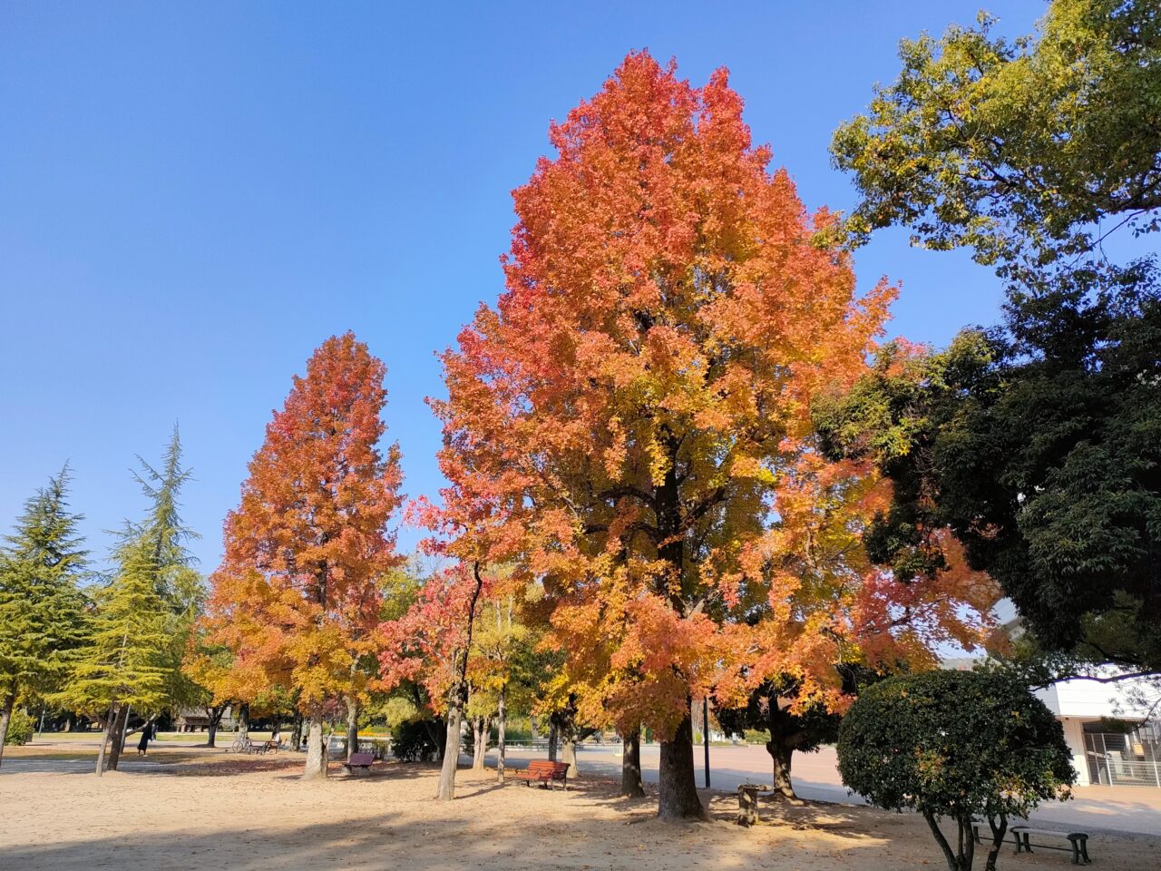 岡山県総合グラウンド