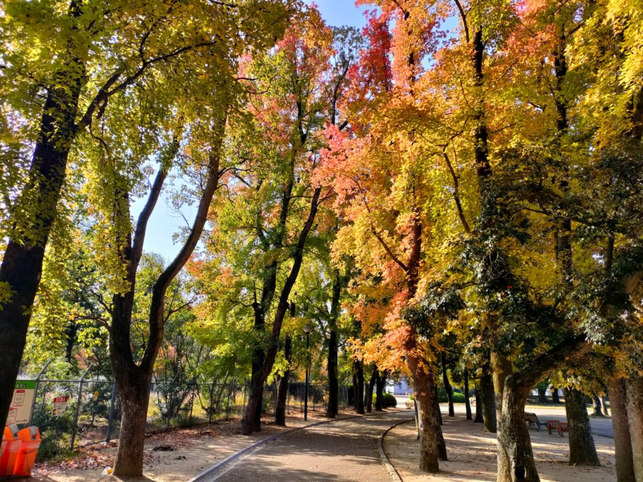 岡山県総合グラウンド